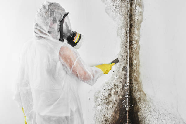 Best Water Damage Restoration  in Ramapo College Of New Jersey, NJ